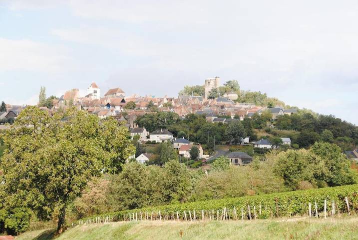 Location de vacances pour 6 personnes, avec jardin à Sens-Beaujeu - 4
