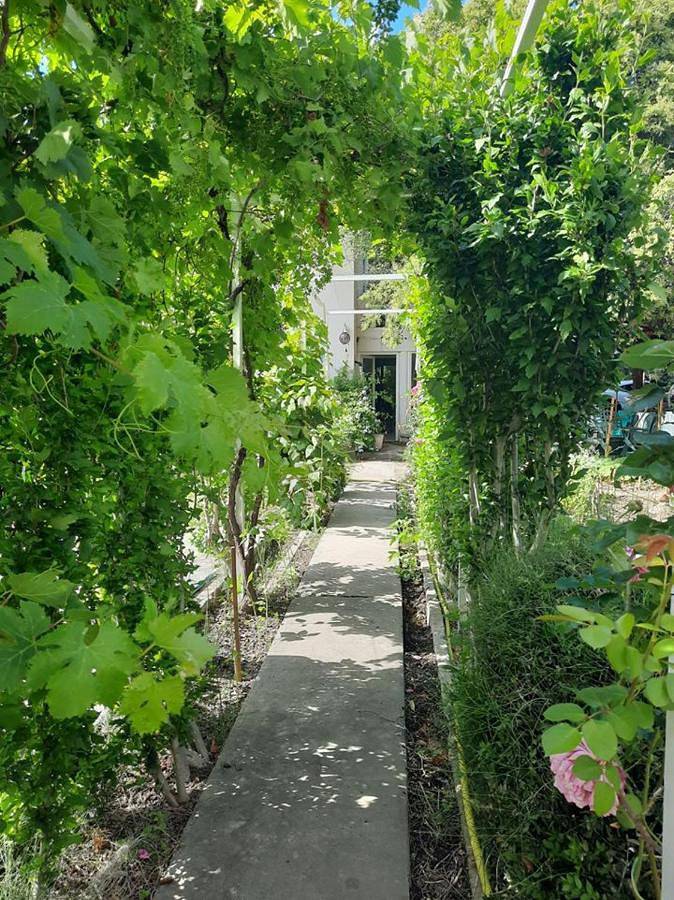 Appartement entier, La maison blanche , piscine partagée 5min d'Avignon in Le Pontet, Vaucluse