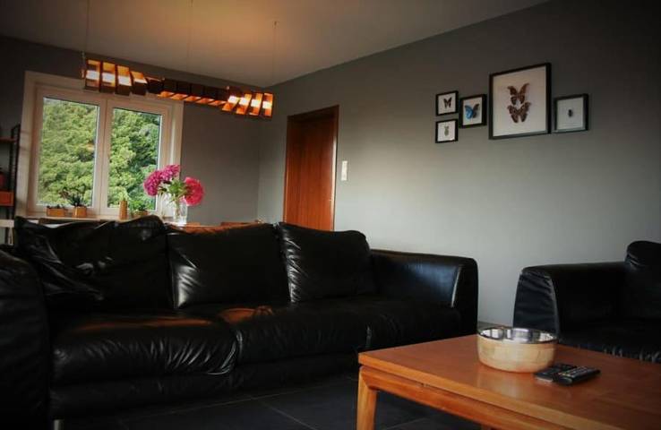 Location de vacances pour 10 personnes, avec vue et terrasse à Flobecq - 2