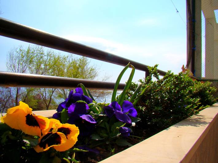 Ferienwohnung für 3 Personen in Split-Dalmatien - 4