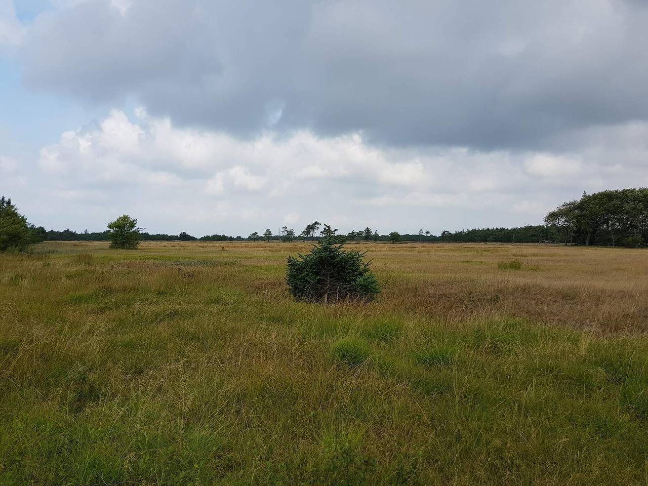 4 personas casa en Oksbøl in Región de Varde