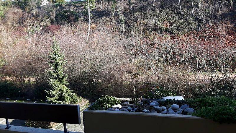 Gîte pour 2 personnes, avec jardin à Bad Bellingen - 2