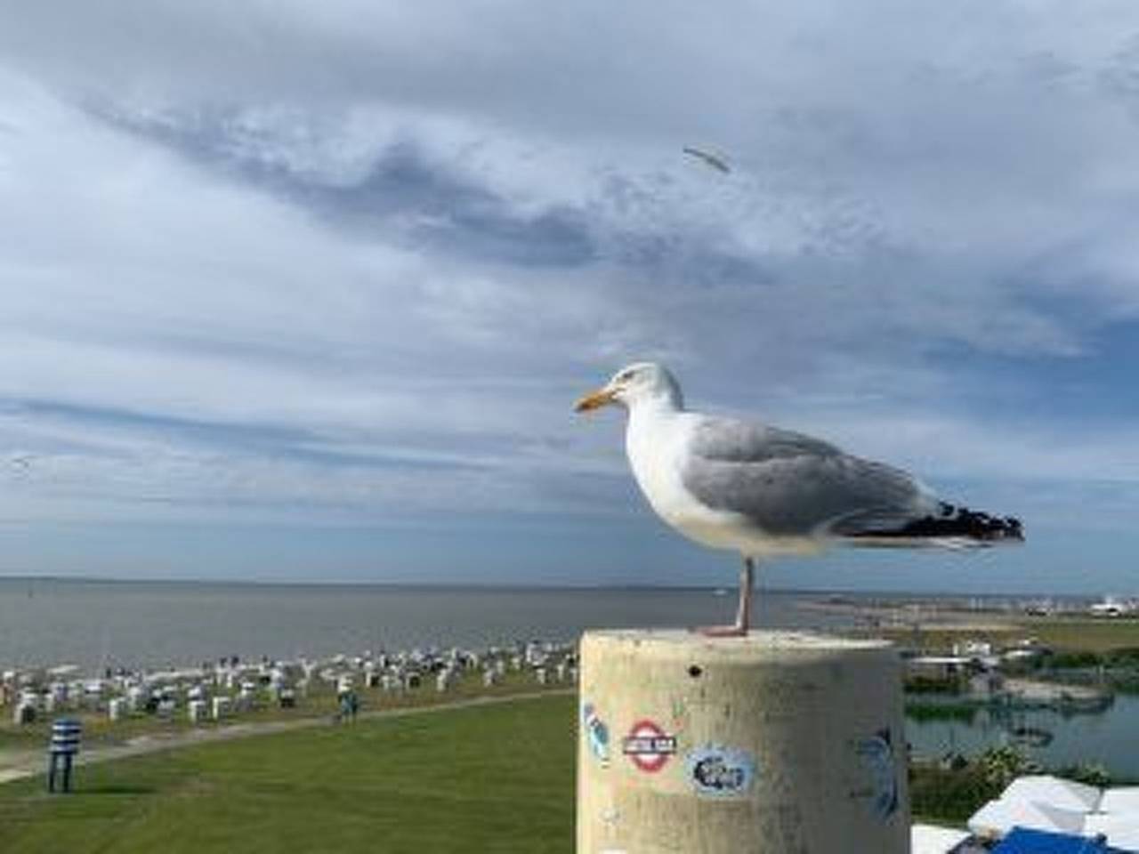 Schatztruhe in Nesse, Dornum