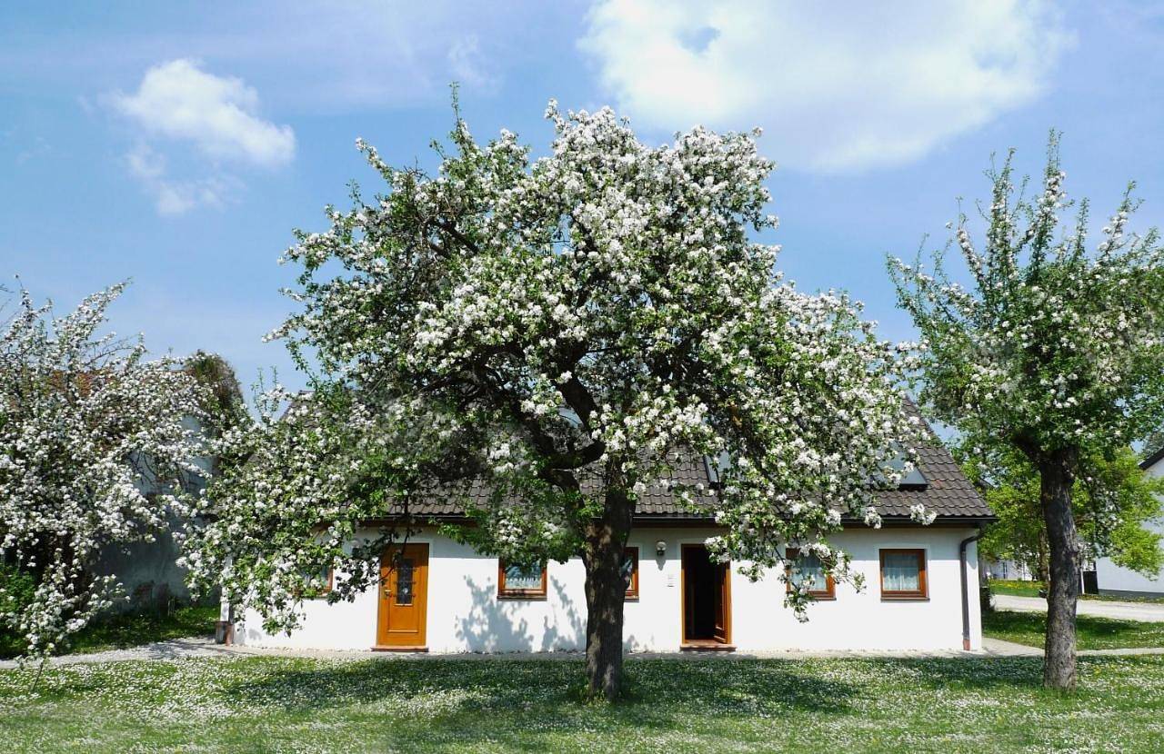 Ganze Wohnung, Studio in Erding, Oberbayern