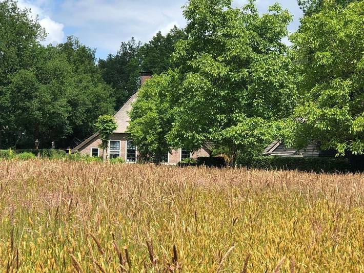 Villa voor 6 personen, met uitzicht en tuin in Havelte