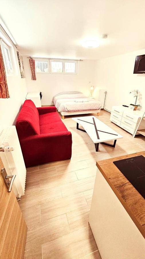 Gîte pour 3 personnes, avec vue et jardin à Saint-Maur-des-Fossés - 4