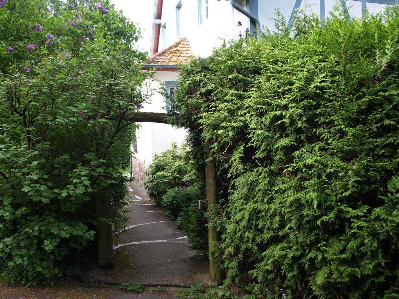 Geheel appartement, Das Alte Forsthaus in Stephanshausen, Geisenheim