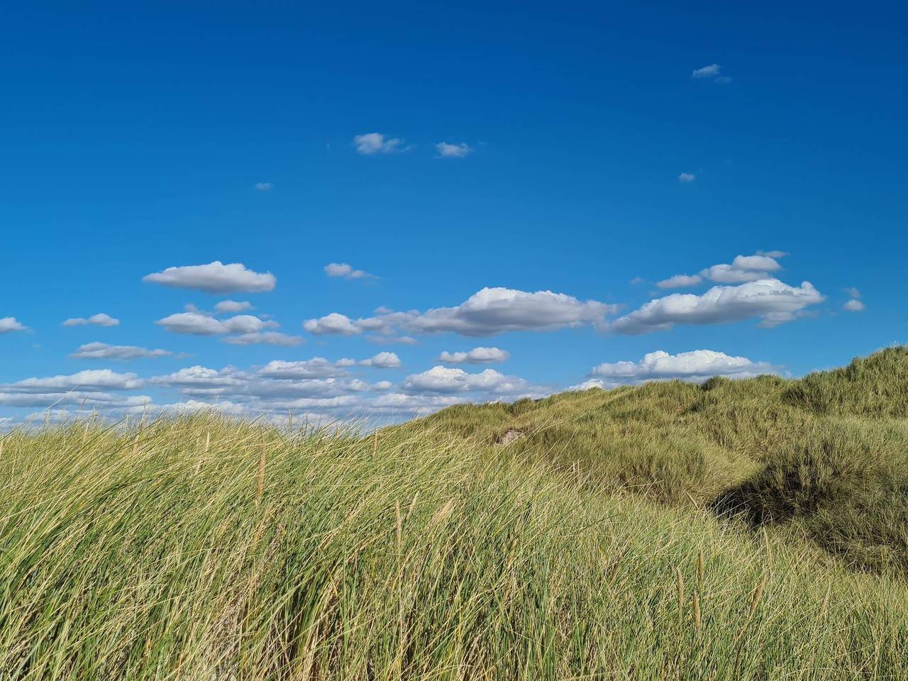 8 Personen Ferienhaus in Pandrup-By Traum in Blokhus, Jammerbugt