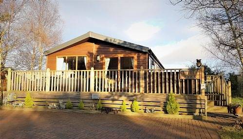 Little Fawn in Northumberland