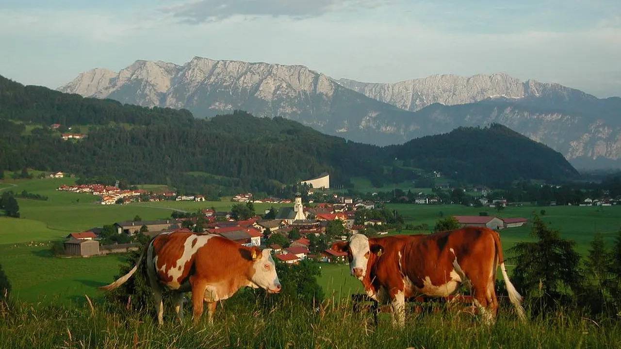 Ganze Ferienwohnung, Ferienwohnung für 4 Personen (55 m²) in Erl in Erl, Chiemgauer Alpen