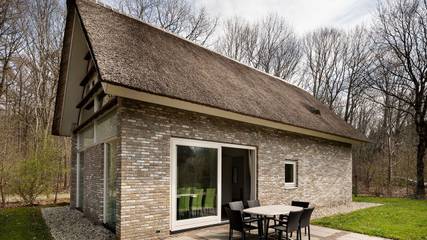 Villa voor 6 Personen in Nationaal Park Dwingelderveld, Drenthe, Afbeelding 1