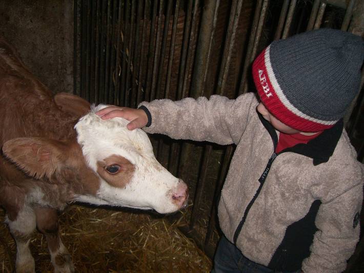 Bauernhof für 4 Personen, mit Garten in Kastelruth - 3