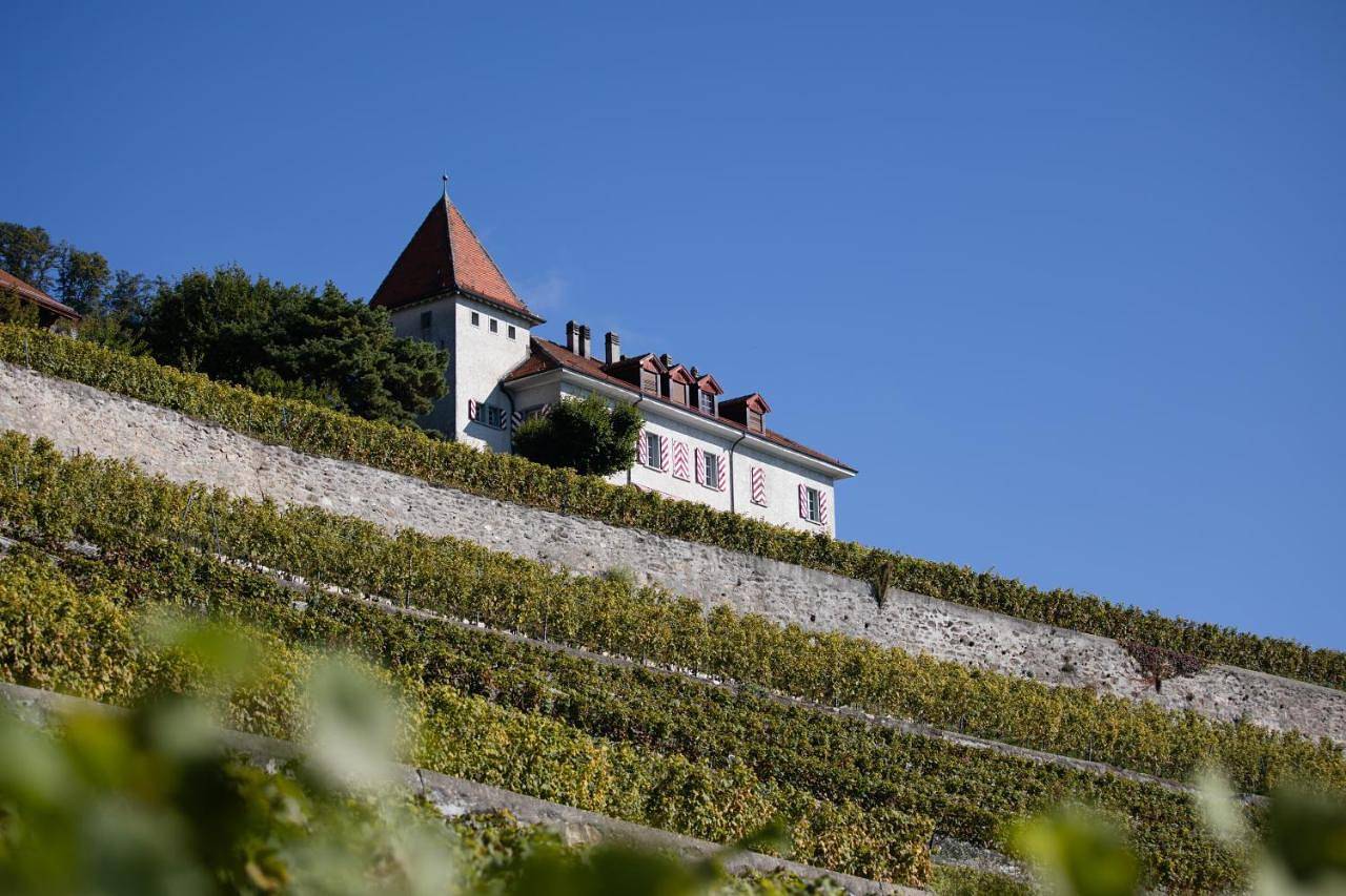 Domaine du Burignon in St-Saphorin (Lavaux), Chardonne