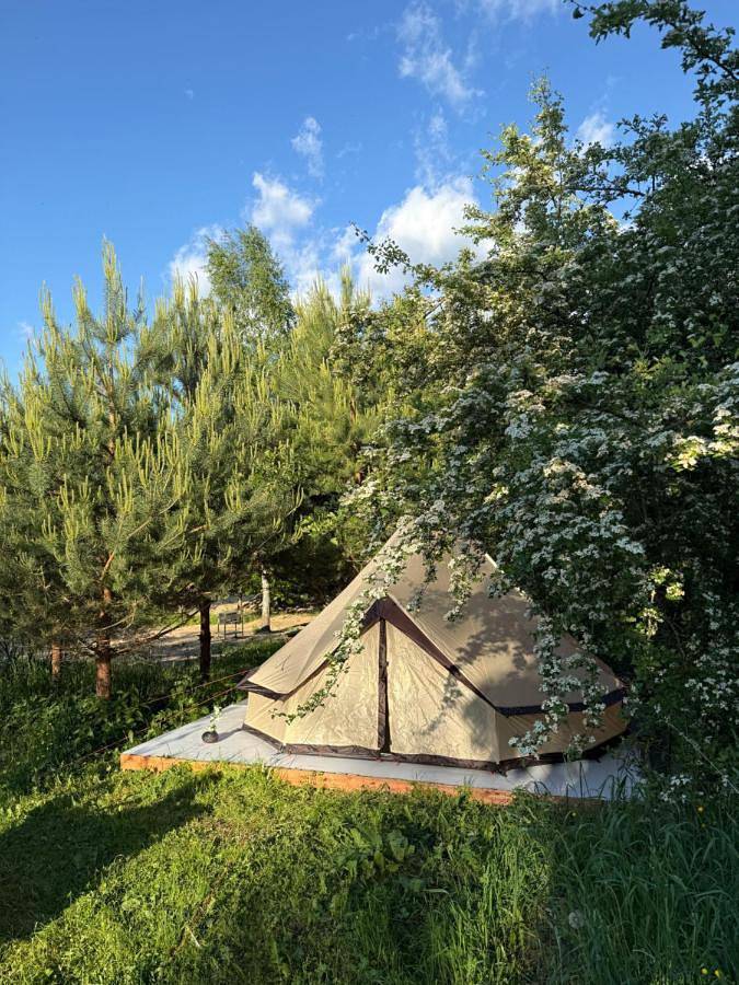 Pine Nest Glamping in Wilno, Litwa