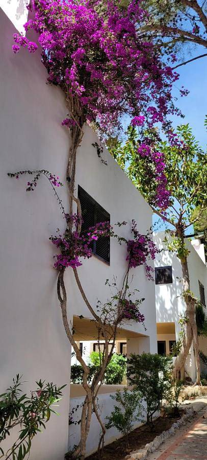 Club Cala Azul in Cala Llenya, Santa Eulària des Riu