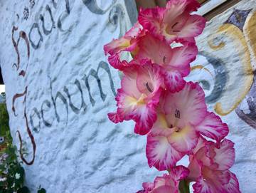 Hütte für 2 Personen in Hopfgarten im Brixental, Kitzbüheler Alpen, Bild 4