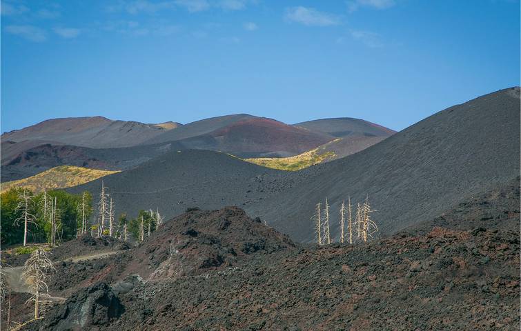 Ferienwohnung für 4 Personen, mit Terrasse, mit Haustier in Catania - 4