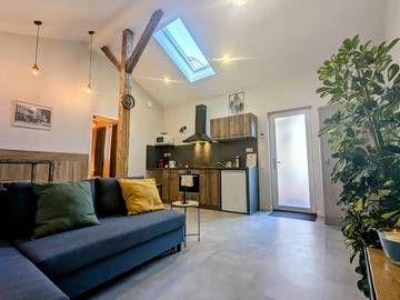 Gîte pour 4 personnes, avec jacuzzi et sauna ainsi que terrasse et jardin, animaux acceptés à Riorges