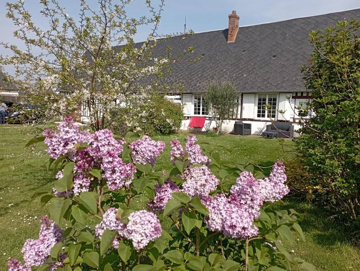 Gîte pour 6 personnes, avec jardin et terrasse, animaux acceptés à Sassetot-le-Mauconduit - 3