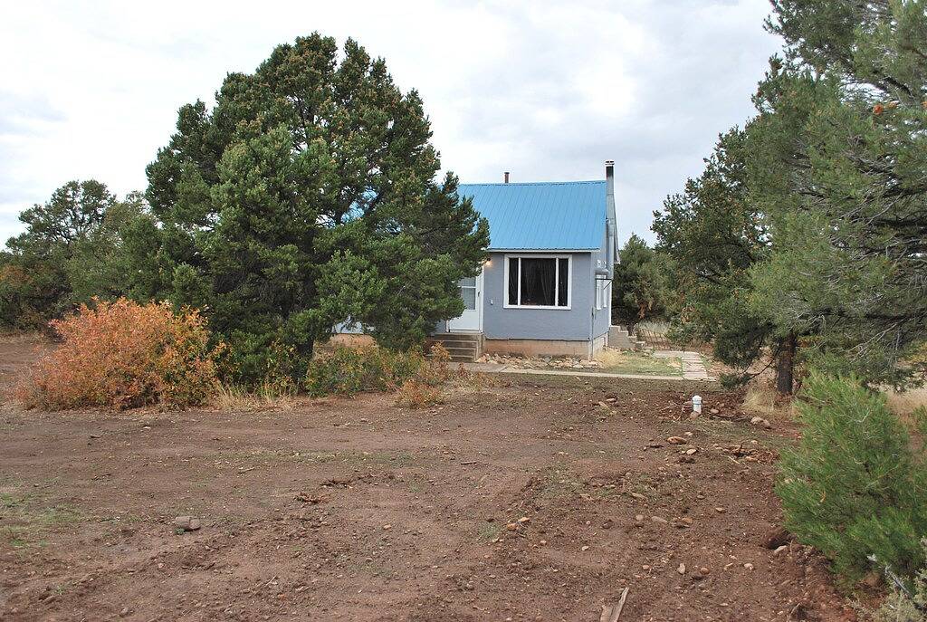 Mountain View Cottage in San Juan National Forest