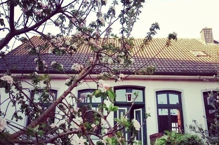 Ferienhaus für 10 Personen, mit Garten, mit Haustier in Jemgum