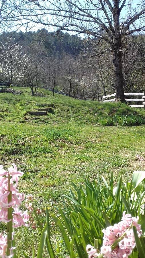 Gîte pour 3 personnes, avec vue et jardin à Chamborigaud - 4