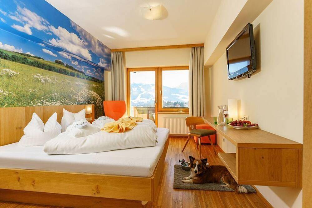 Panoramaapp. Weitblick Nr.3 (7 Nächte ohne Verpf.) - Almfrieden Hotel & in Ramsau am Dachstein, Schladming-Dachstein