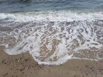 Ferieudlejning til 8 Personer i Saksild Strand, Rude Strand, Billede 4