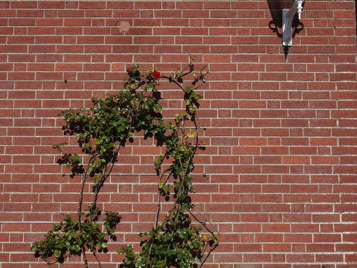 Ganze Ferienwohnung, Bue - Appartementhaus Holländerei - Superior Balk. in Büsum, Kreis Dithmarschen