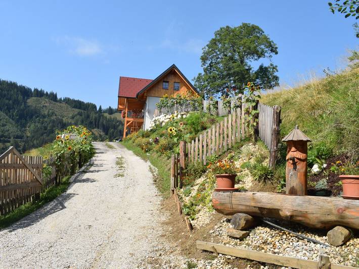 Bauernhof für 10 Personen, mit Garten und Sauna in Kärnten - 4