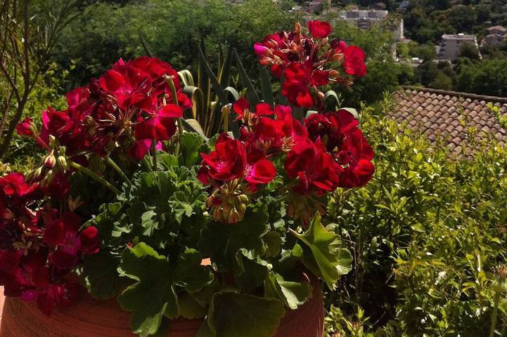 Ferienhaus für 4 Personen, mit Garten und Terrasse