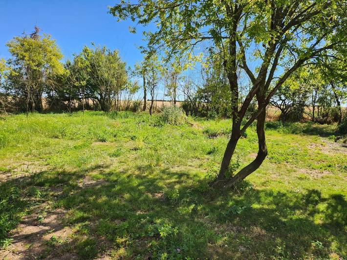 Gîte pour 7 personnes, avec jardin et vue, animaux acceptés à Saint-Jean-de-Sauves - 4