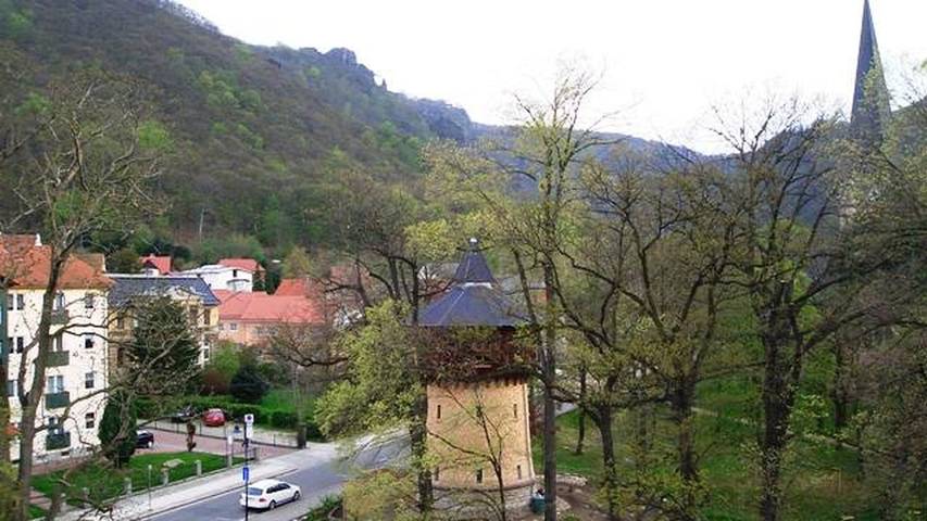 Ferienwohnung für 6 Personen, mit Garten in Thale - 4