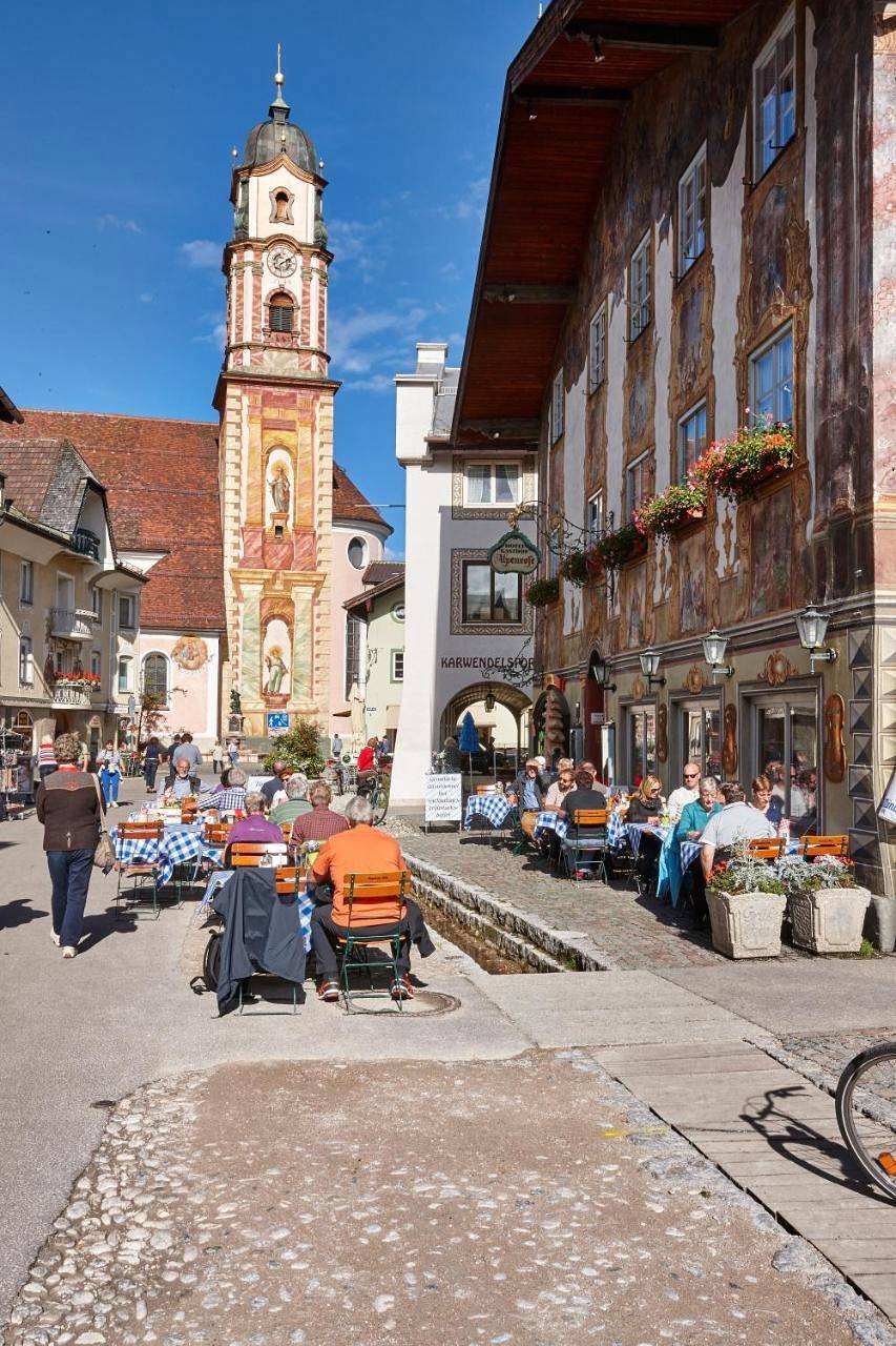 Alpenrose in Mittenwald, Alpes bavaroises