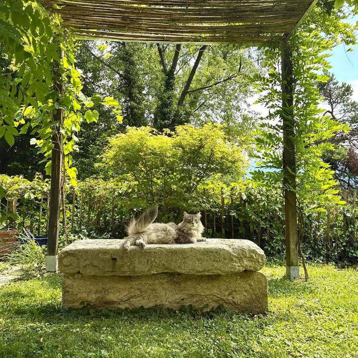 Gîte pour 2 personnes, avec Jacuzzi et Terrasse ainsi que Jardin et Vue à Delémont