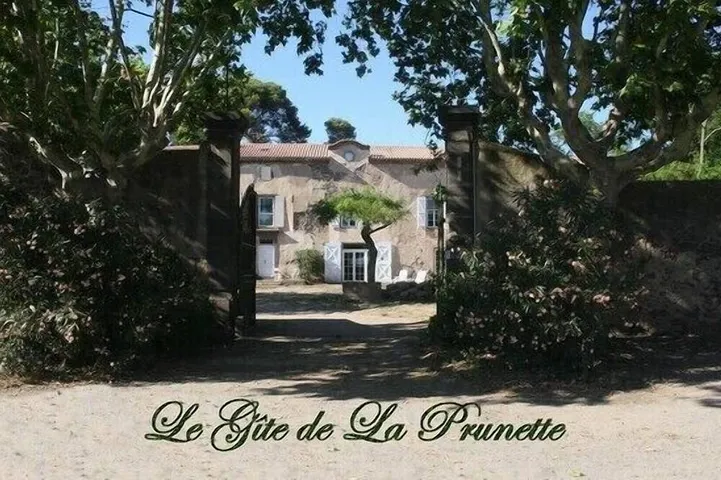 Le Gite de la Prunette (clim,piscine chauffée)  au sein d"un élevage de chevaux in Agde, Côte méditerranéenne (France)
