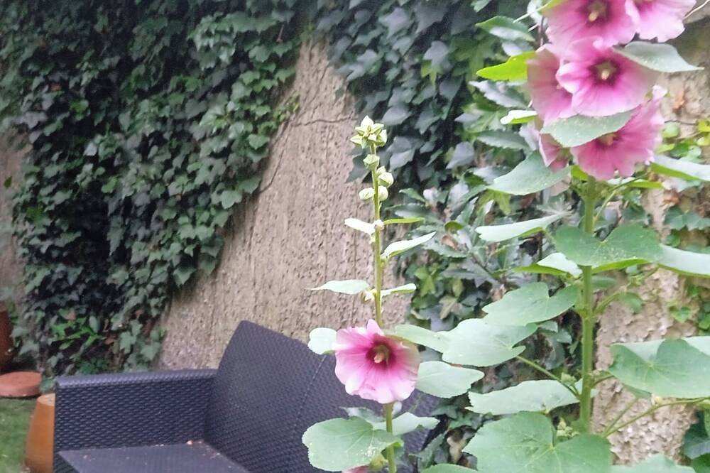 Jolie chambre individuelle pour 2 personnes indépendante avec jardin privatif. in Rennes, Région de Rennes