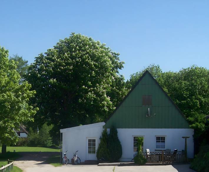 Ferienwohnung für 4 Personen, mit Garten