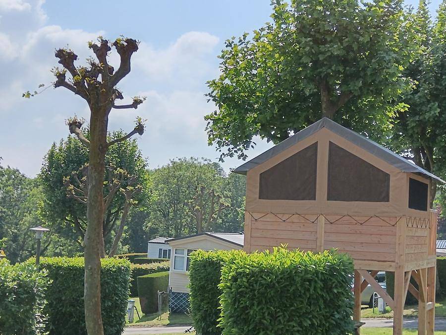 Flower Camping La Hallerais - Unterkunft 2 personen - Zelt Nature auf Stelzen Standard 7.2 m² - ohne Sanitäranlagen in Taden, Dinan und Umgebung