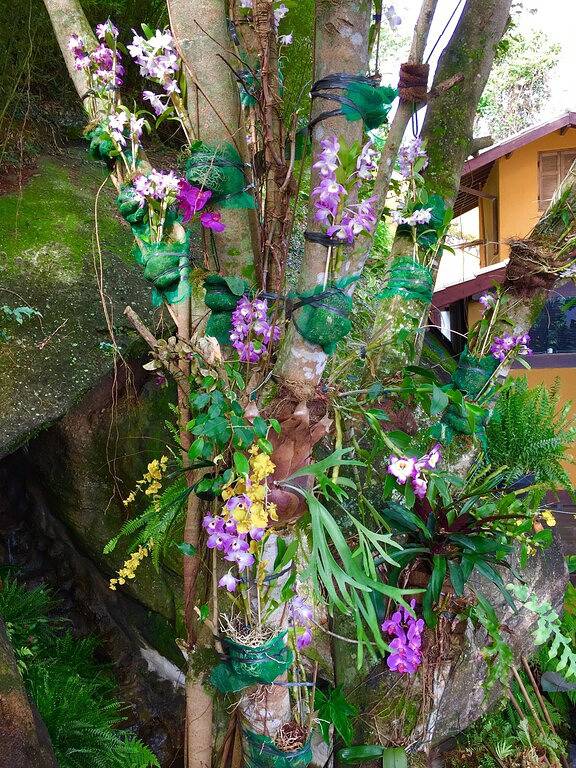 Super Charming Home Mit Pool Und View Show! in Ilhabela