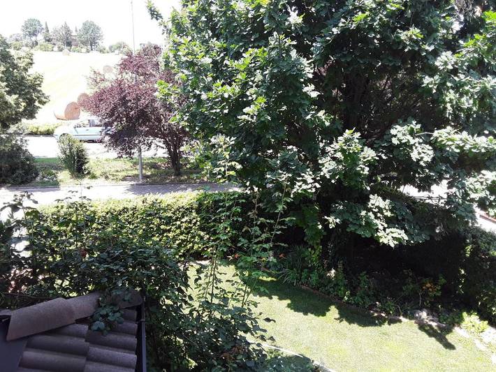 Chambre d’hôte pour 4 personnes, avec vue et jardin, animaux acceptés à Maranello - 4