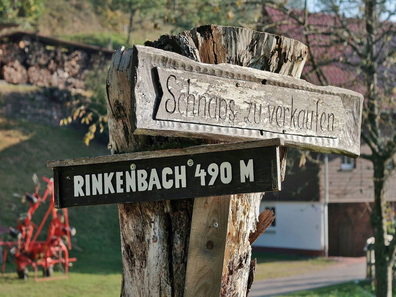 Rinkenbachhof - Ferienhaus 96-2 in Schenkenzell, Kinzigtal