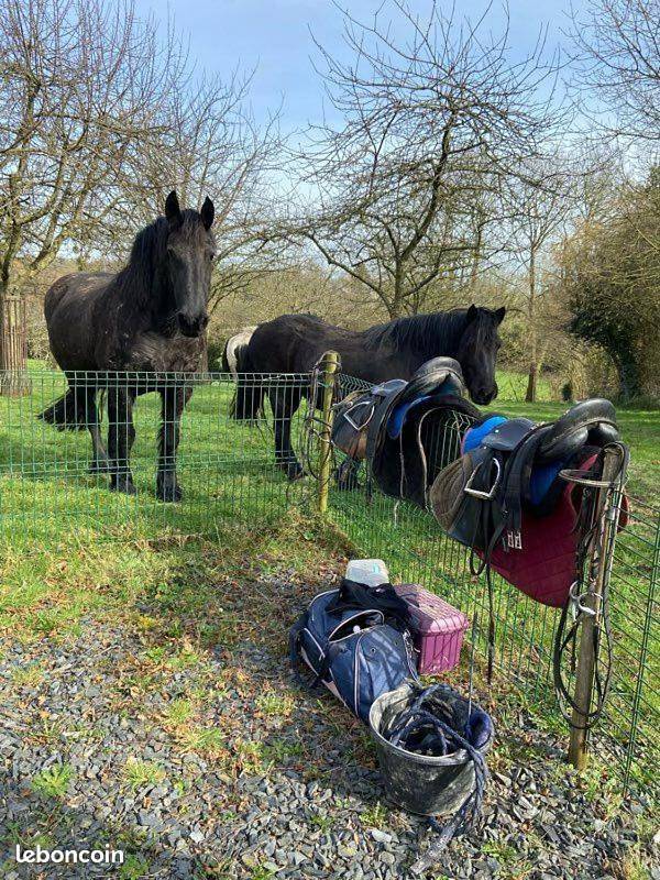 Location de vacances pour 5 personnes, avec jardin et vue dans Souleuvre-en-Bocage - 4
