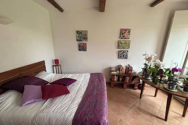 Location de vacances pour 10 personnes, avec jardin à Baziège - 3