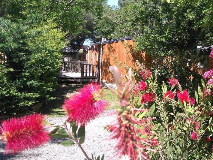 Mobil home pour 4 personnes, animaux acceptés à Pézenas - 4