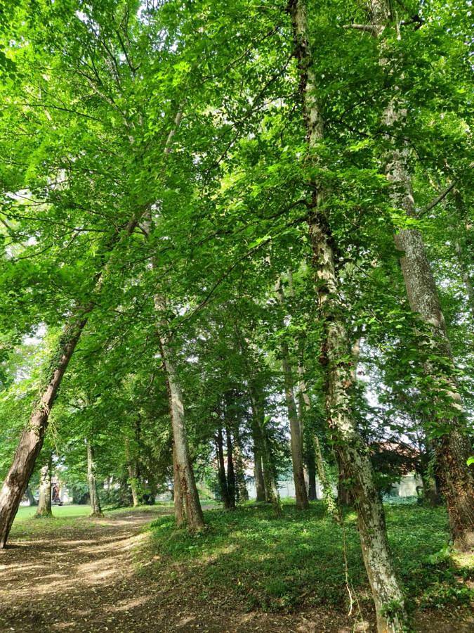 Location de vacances pour 2 personnes, avec vue et jardin à Lusigny-sur-Barse - 2