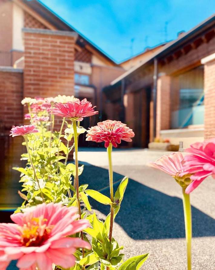 Chambre d’hôtes pour 4 personnes, avec Jardin à Sirtori