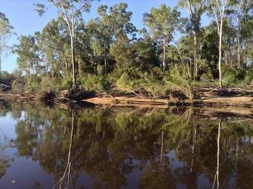 Blockhütte für 4 Personen in Queensland, Bild 4