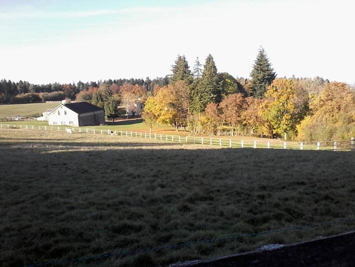 Chambre d’hôte pour 2 personnes, avec jardin et vue dans Parc naturel régional Normandie-Maine - 3