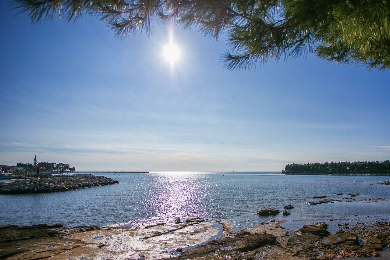 Cały apartament, Apartment Morena Novigrad in Novigrad, Umag i okolice